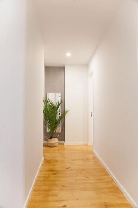 Cozy B&B In The Center Of Madrid 마드리드 외부 사진